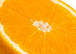 JUICY ORANGE_PRINTED PICTURE